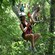 Una mujer cuelga de una tirolesa en una selva mientras que otras tres personas la miran